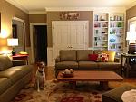 Click image for larger version. 

Name:	sofas and pup.jpg 
Views:	641 
Size:	111.4 KB 
ID:	5691
