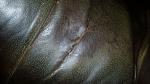 Click image for larger version. 

Name:	sofa inside arm after Leather SolutionsLR.jpg 
Views:	341 
Size:	65.0 KB 
ID:	7309